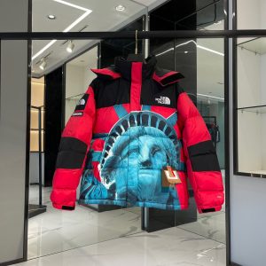 replica Supreme X The North Face Down Jacket Red