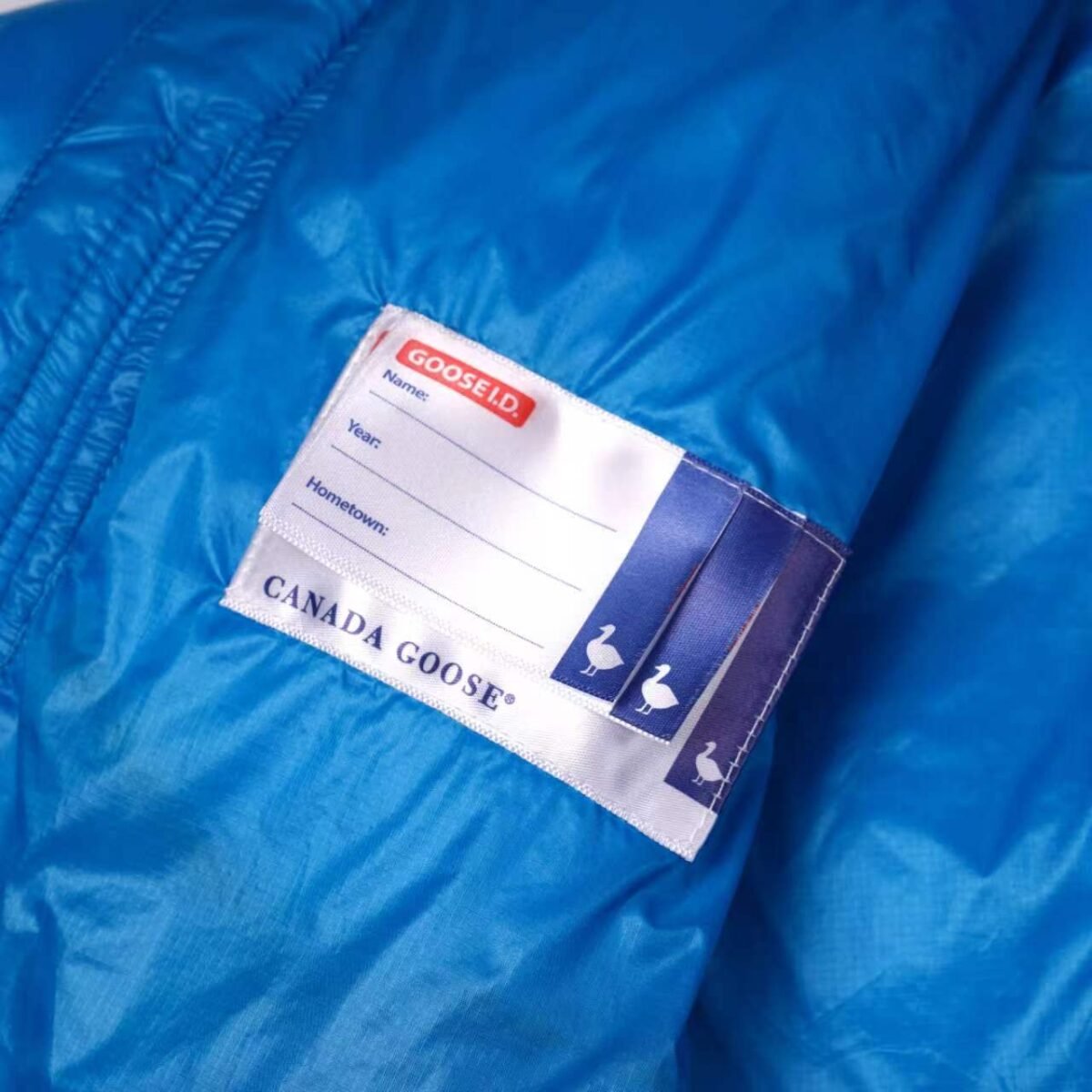 Canada Goose Hooded Puffer Jacket - Style 3 - Canada Goose puffer jacket real photo 5
