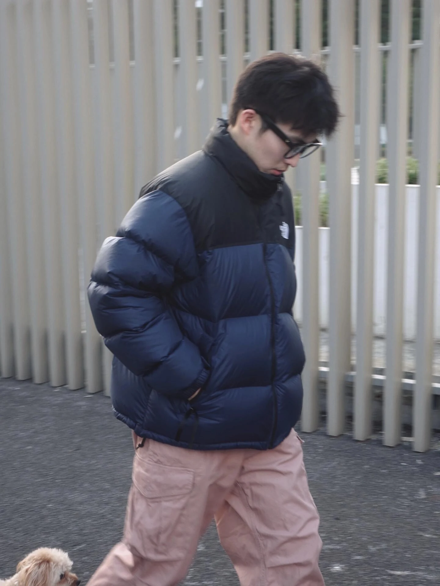 puffer jacket - real photo 4