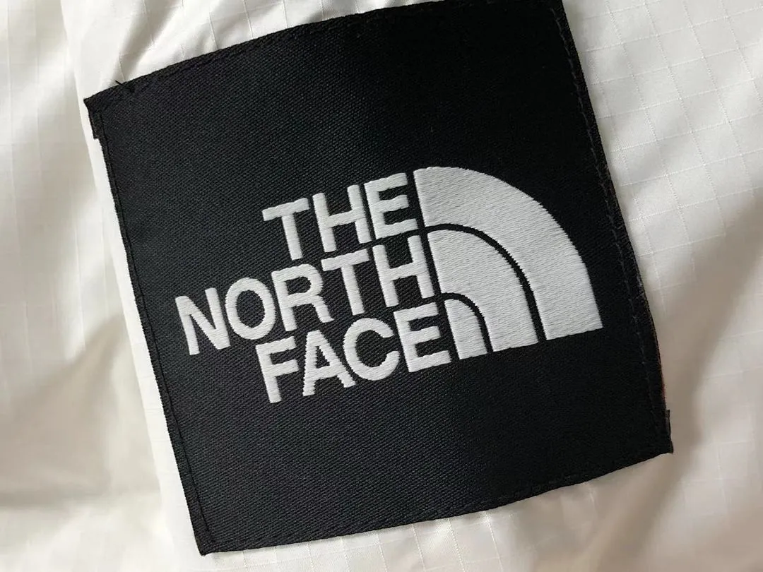 The North Face Black Glossy Puffer