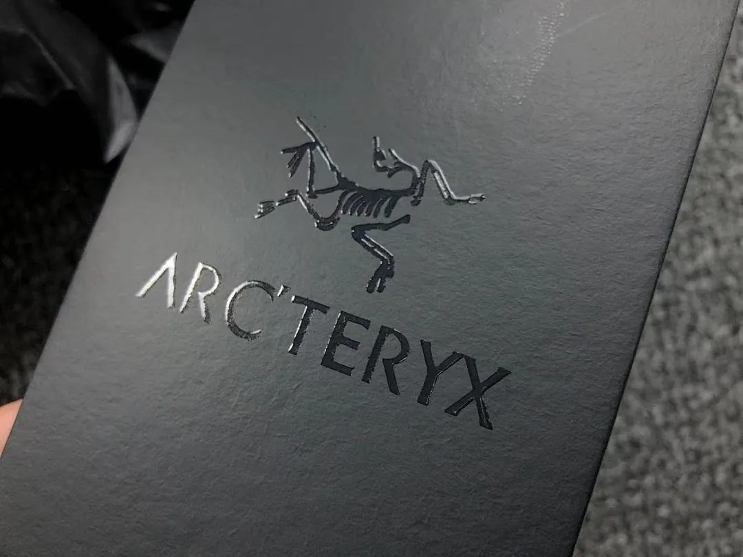 Arc'teryx Grey Down Vest