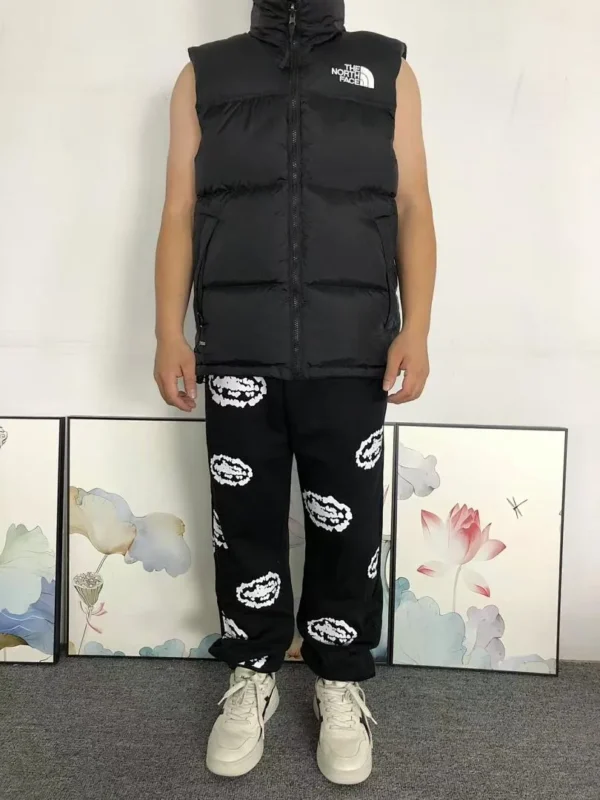 The North Face Multi Color Nuptse Vest - view 2