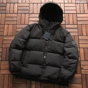 Louis Vuitton Down Jacket 11102209