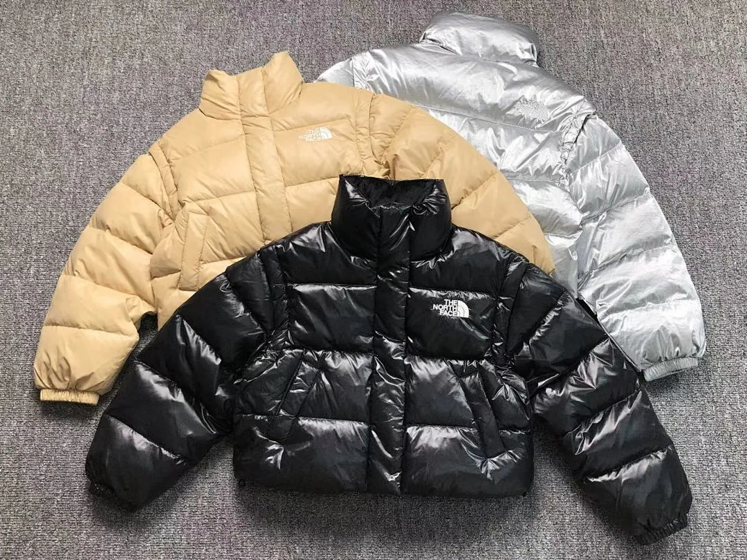 The North Face Silver Glossy Puffer