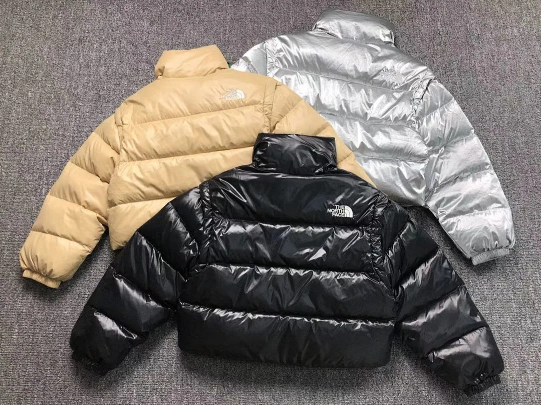 The North Face Silver Glossy Puffer