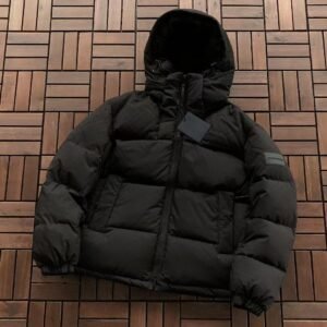 Louis Vuitton Down Jacket 66101816